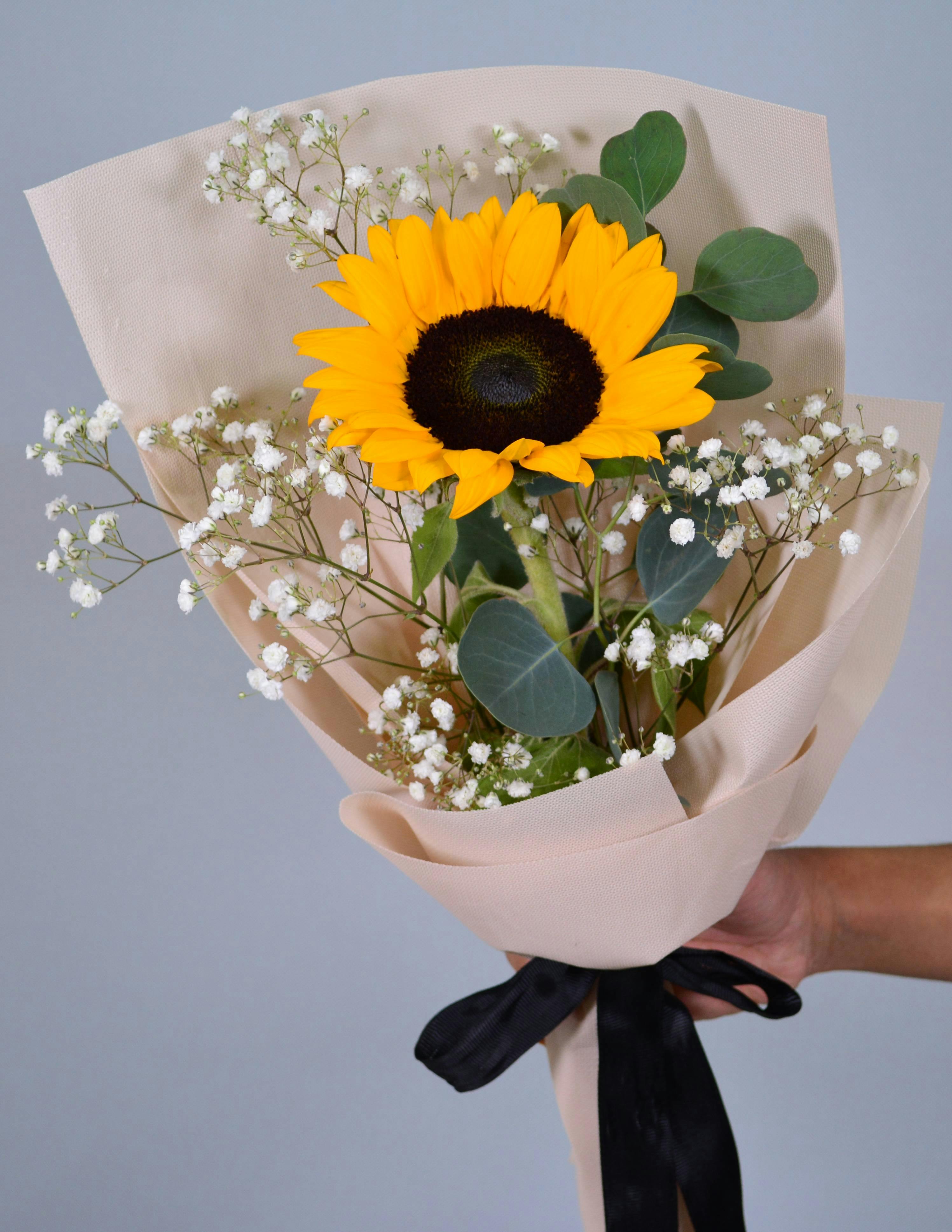 Ramo Girasol y Exofilia